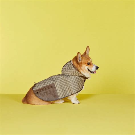 Pet GG coat in beige and ebony Supreme 